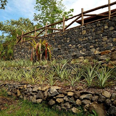 Finca Estacion Descansos Acomodação com café da manhã Paraíso Exterior foto