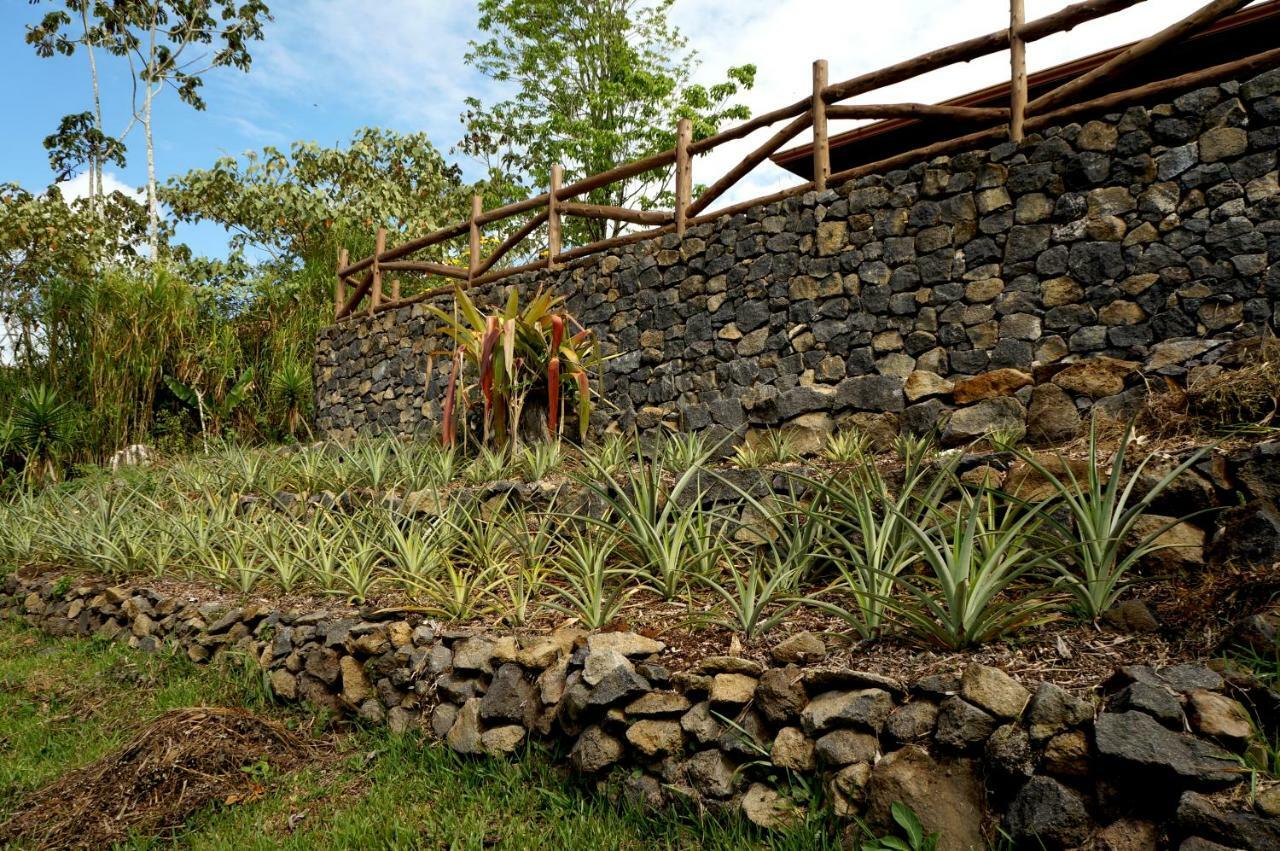 Finca Estacion Descansos Acomodação com café da manhã Paraíso Exterior foto