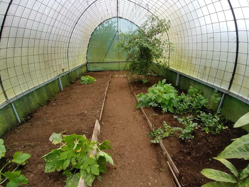 Finca Estacion Descansos Acomodação com café da manhã Paraíso Exterior foto